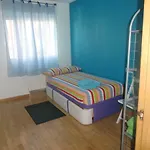 Dh * Zamora